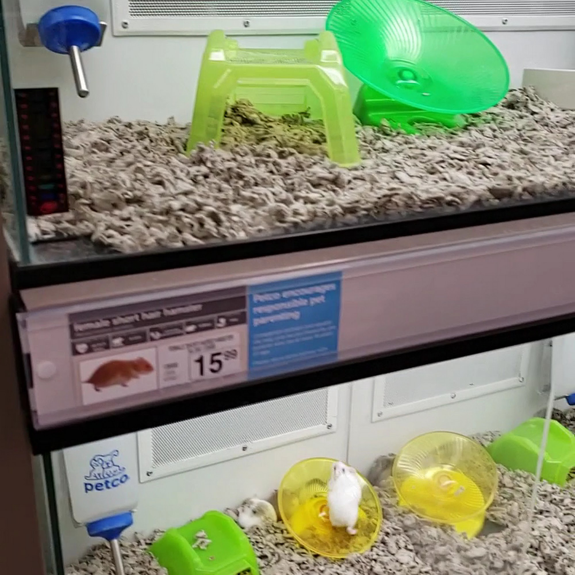 Petco Meridian