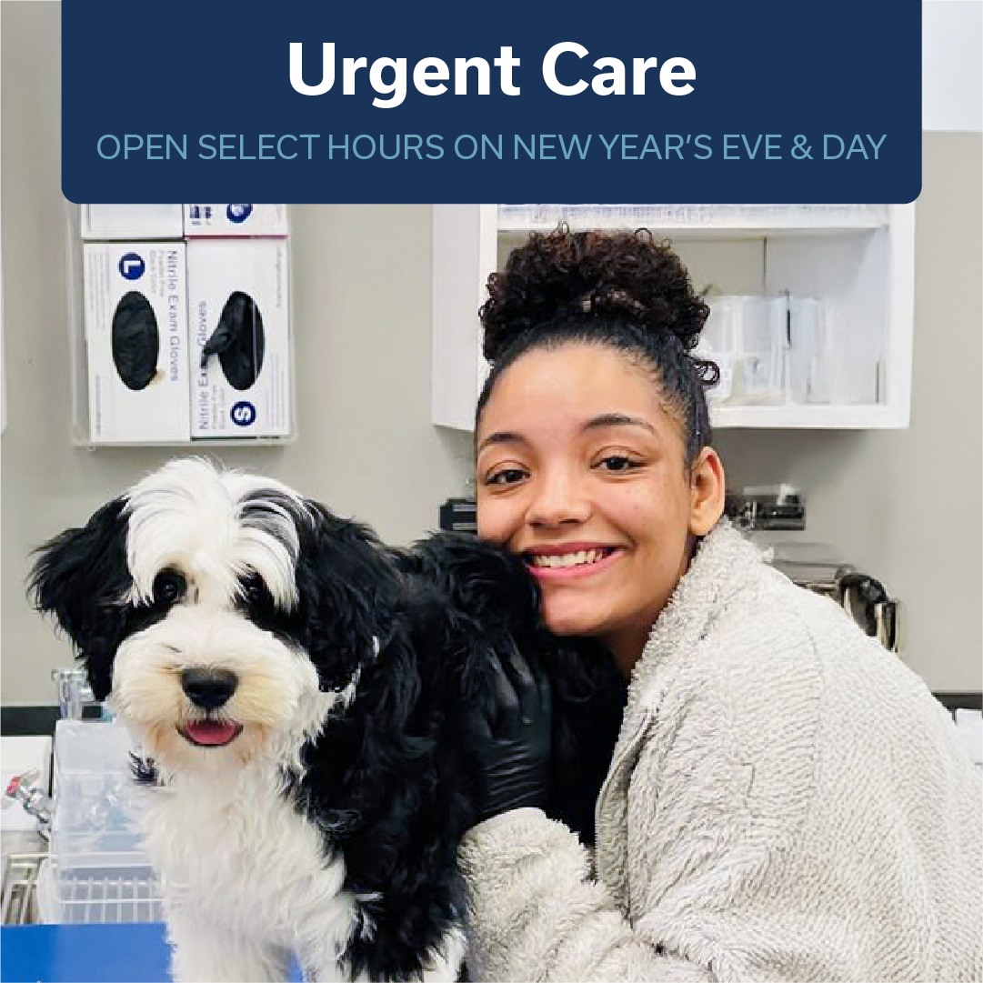 WestVet Urgent Care Meridian