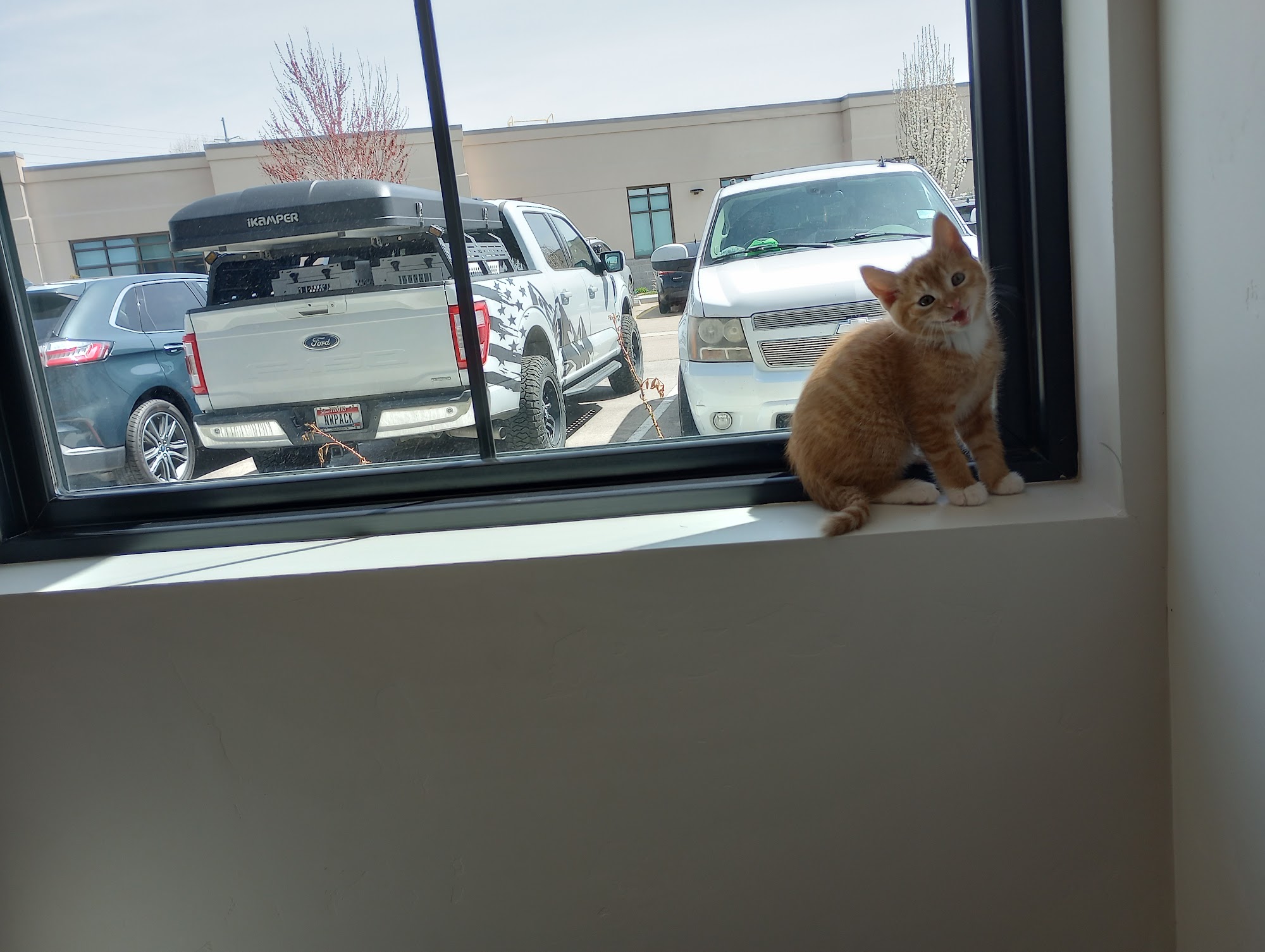 Ada Veterinary Hospital Meridian