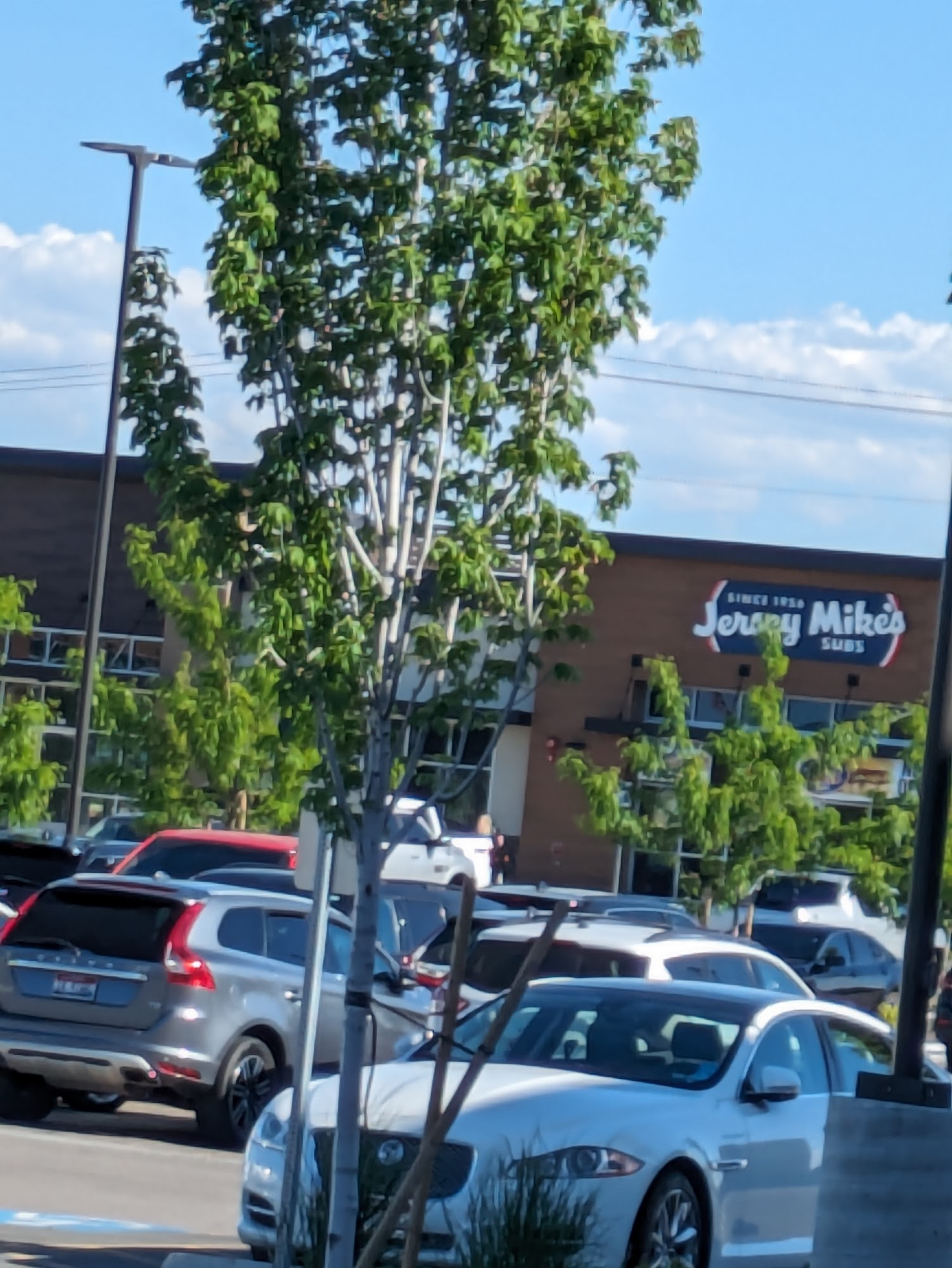 Jersey Mike's Subs