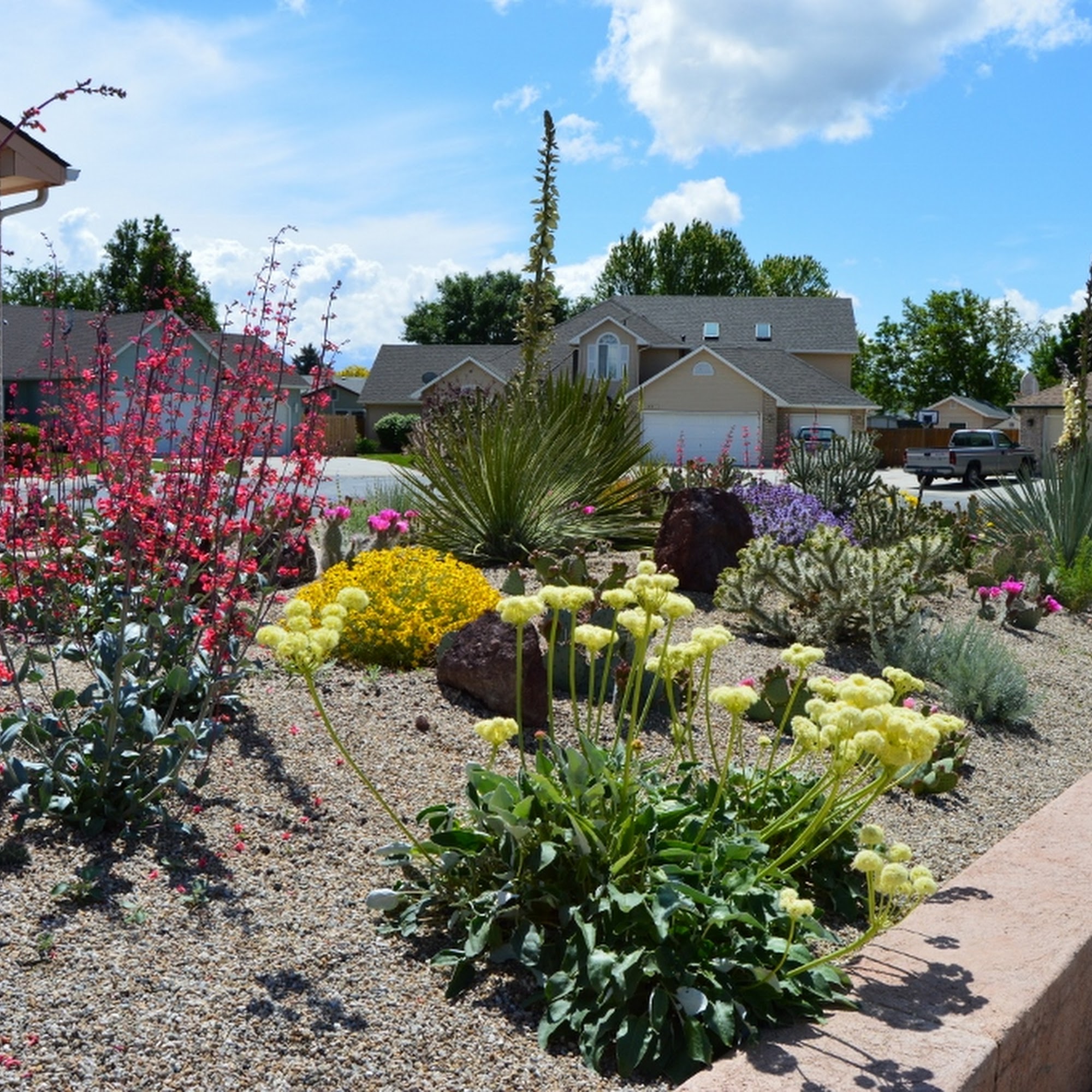 Geoscape Desert Nursery Meridian