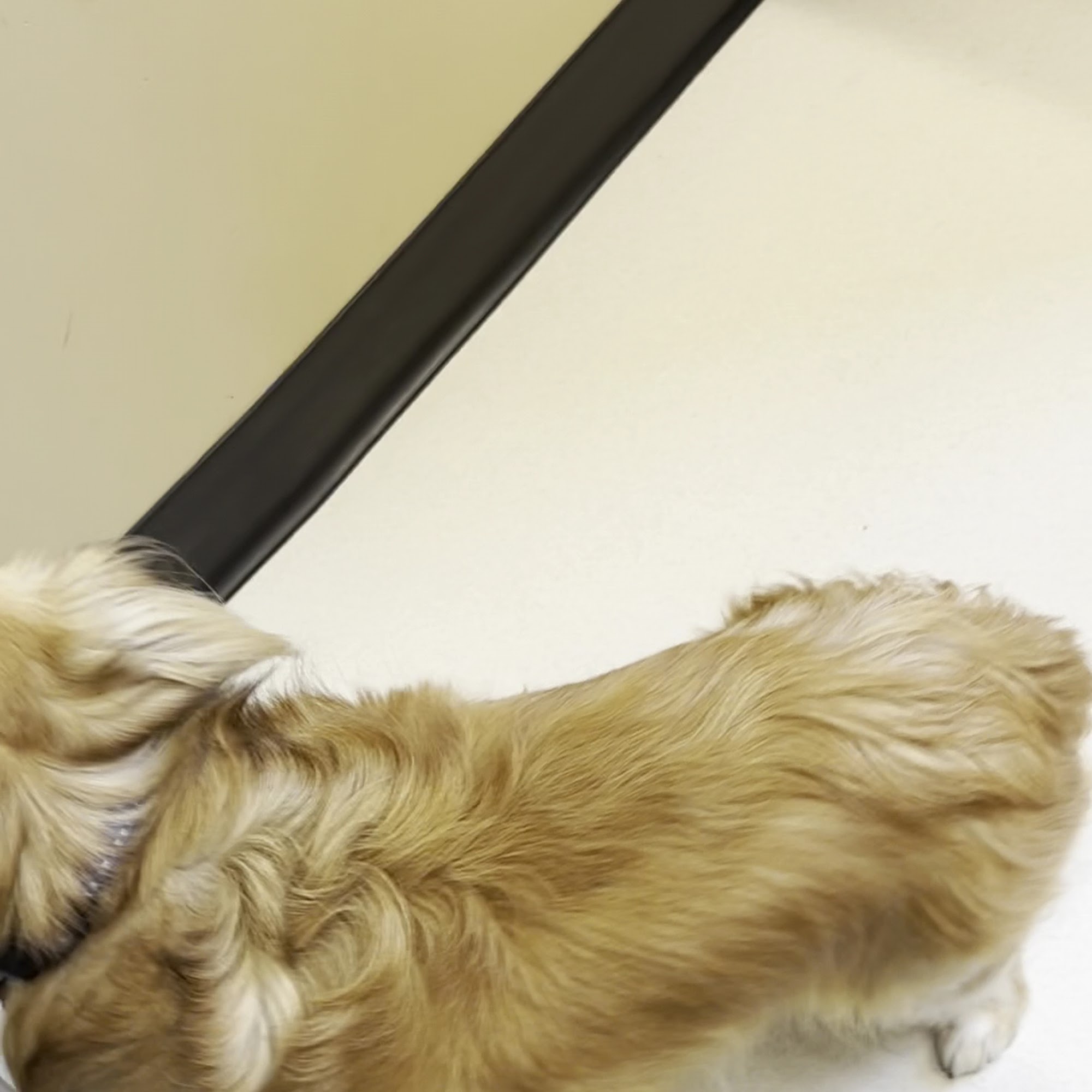 OnPoint Veterinary Hospital Middleton