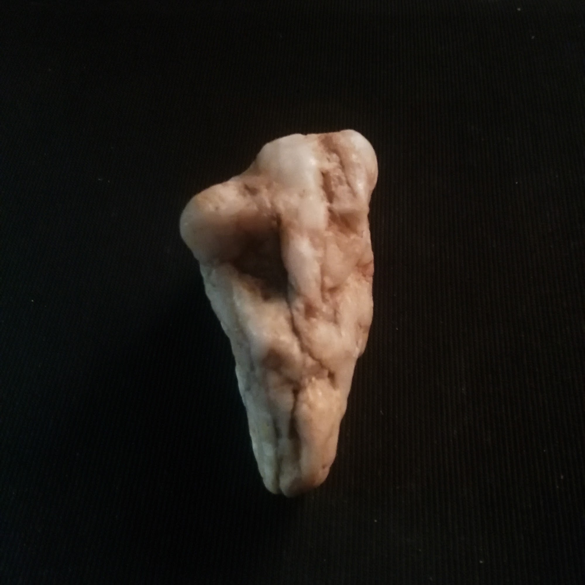 Small Animal Medical Center Mountain Home