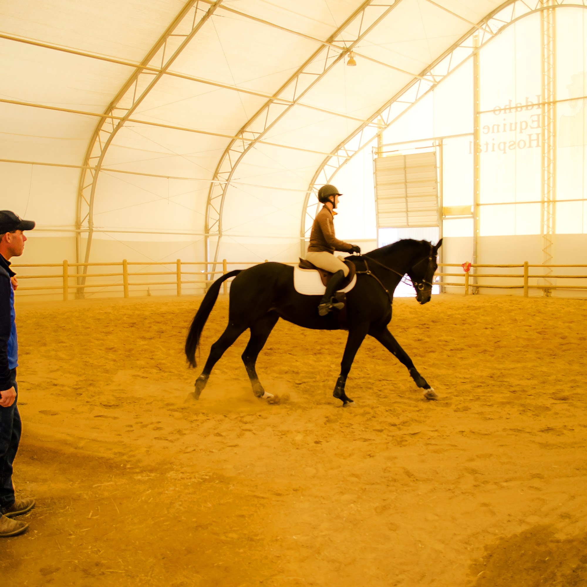 Idaho Equine Hospital Nampa