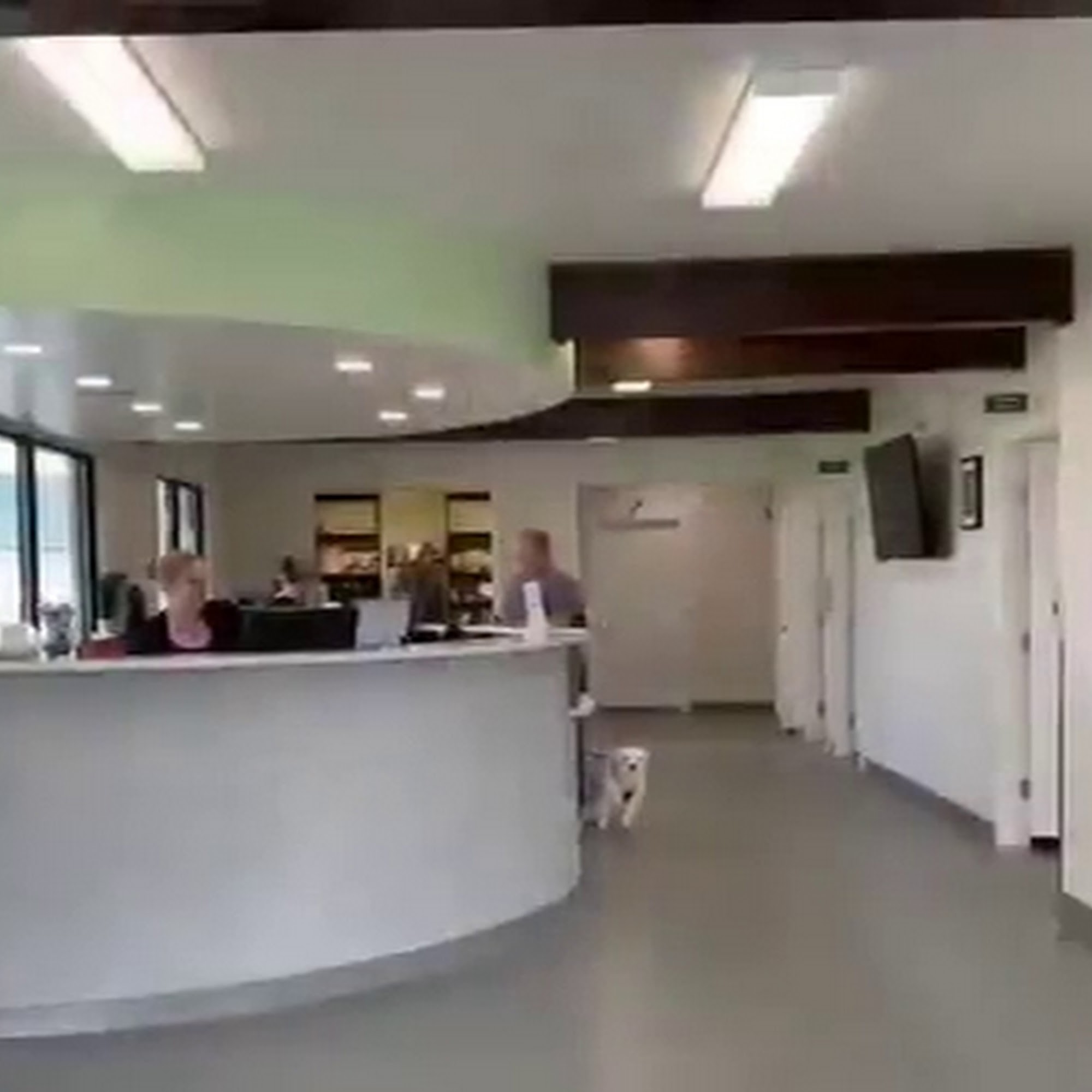 Idaho Veterinary Hospital Nampa