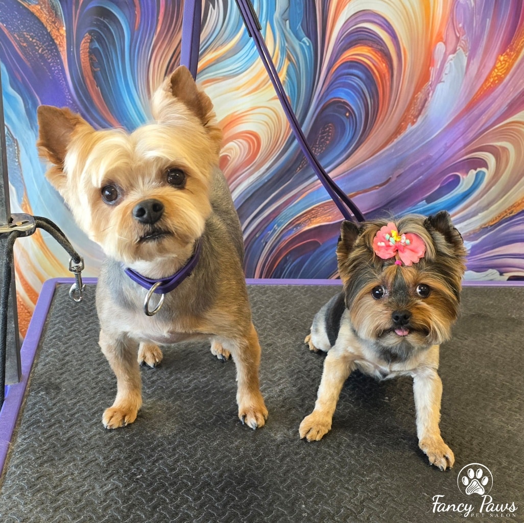 Fancy Paws Pet Salon Nampa