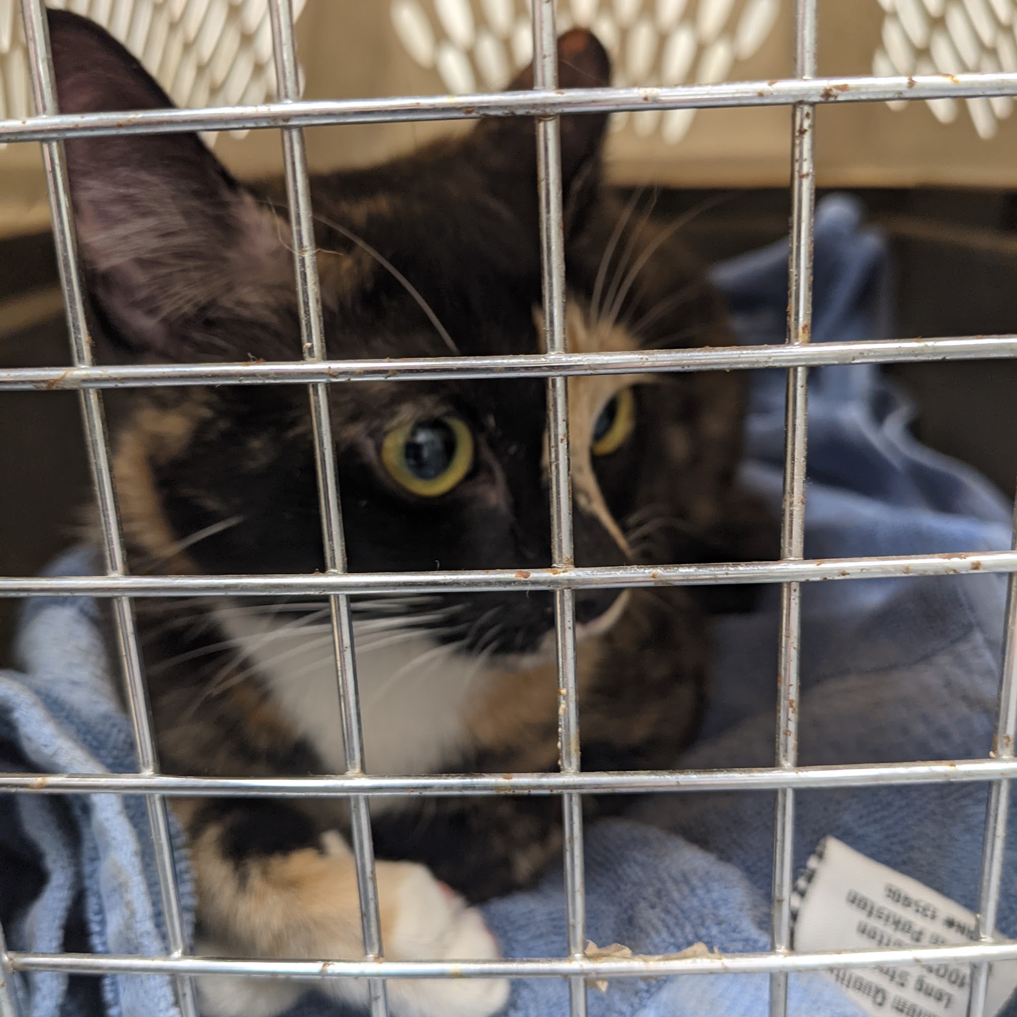 Pend Oreille Veterinary Clinic Oldtown