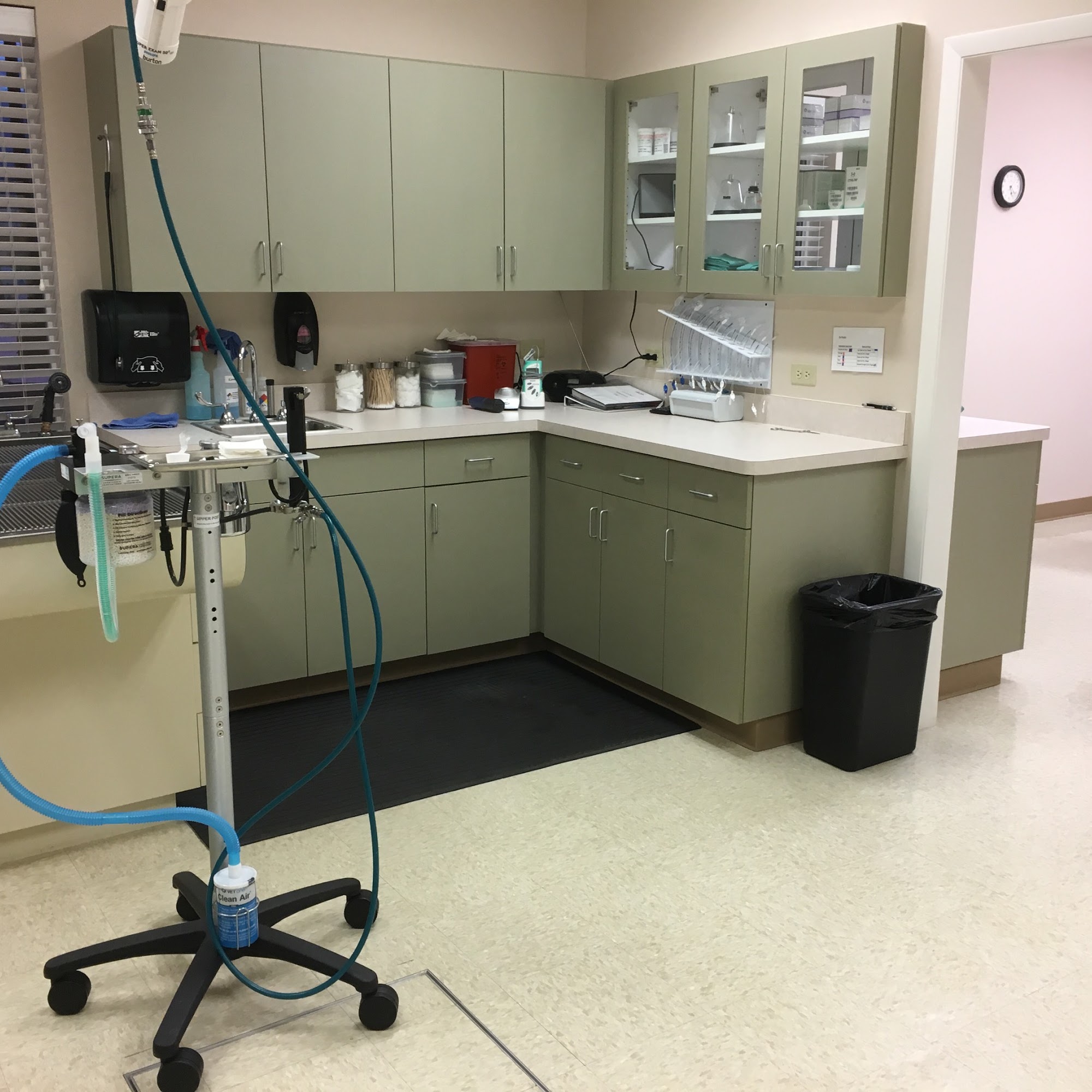 Mountain View Veterinary Hospital Pocatello