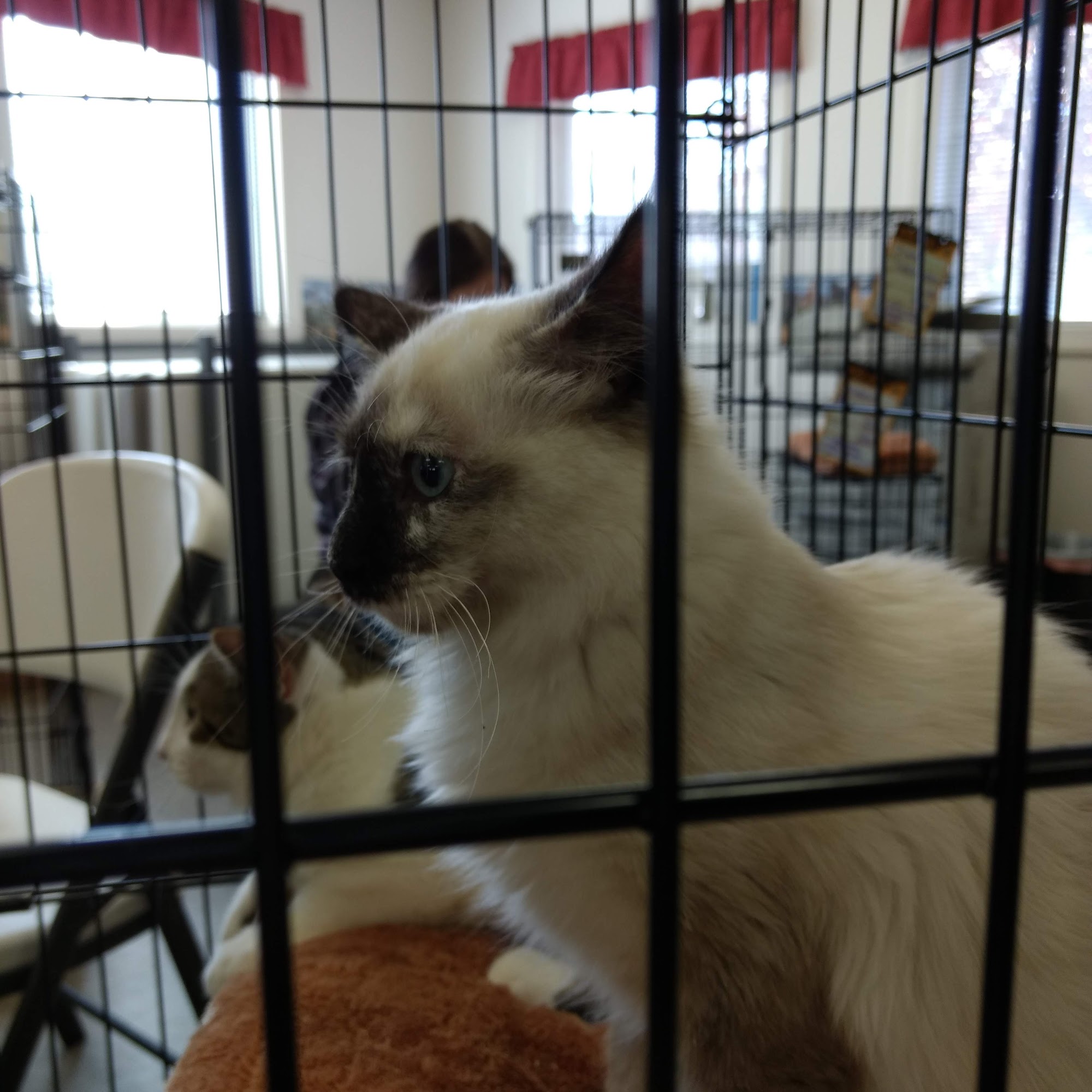 Bannock Humane Society Pocatello