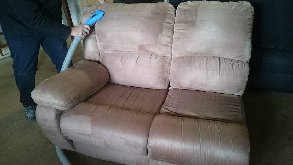 Freeman Carpet Cleaning