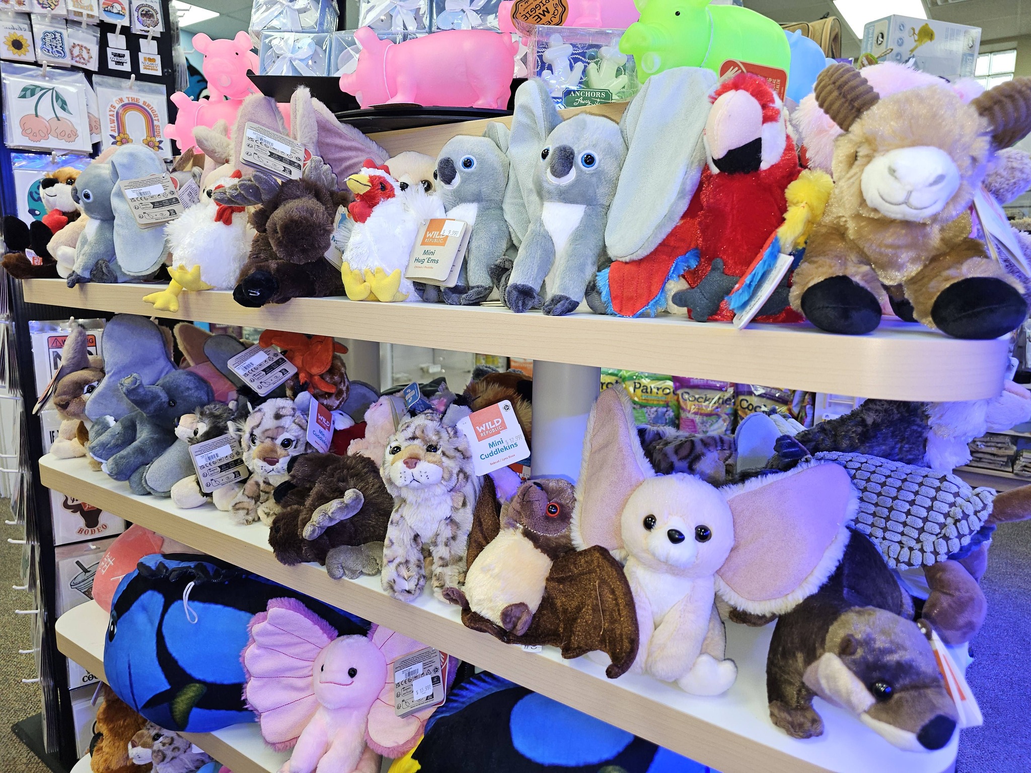 Aquatic Oasis Pocatello