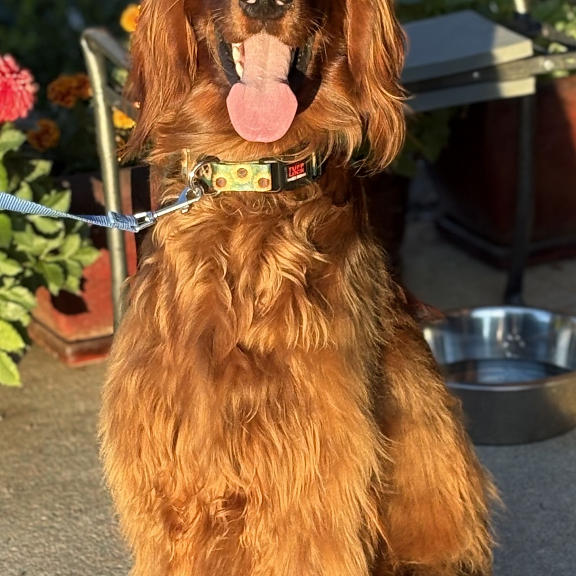 Pend Oreille Veterinary Service Ponderay