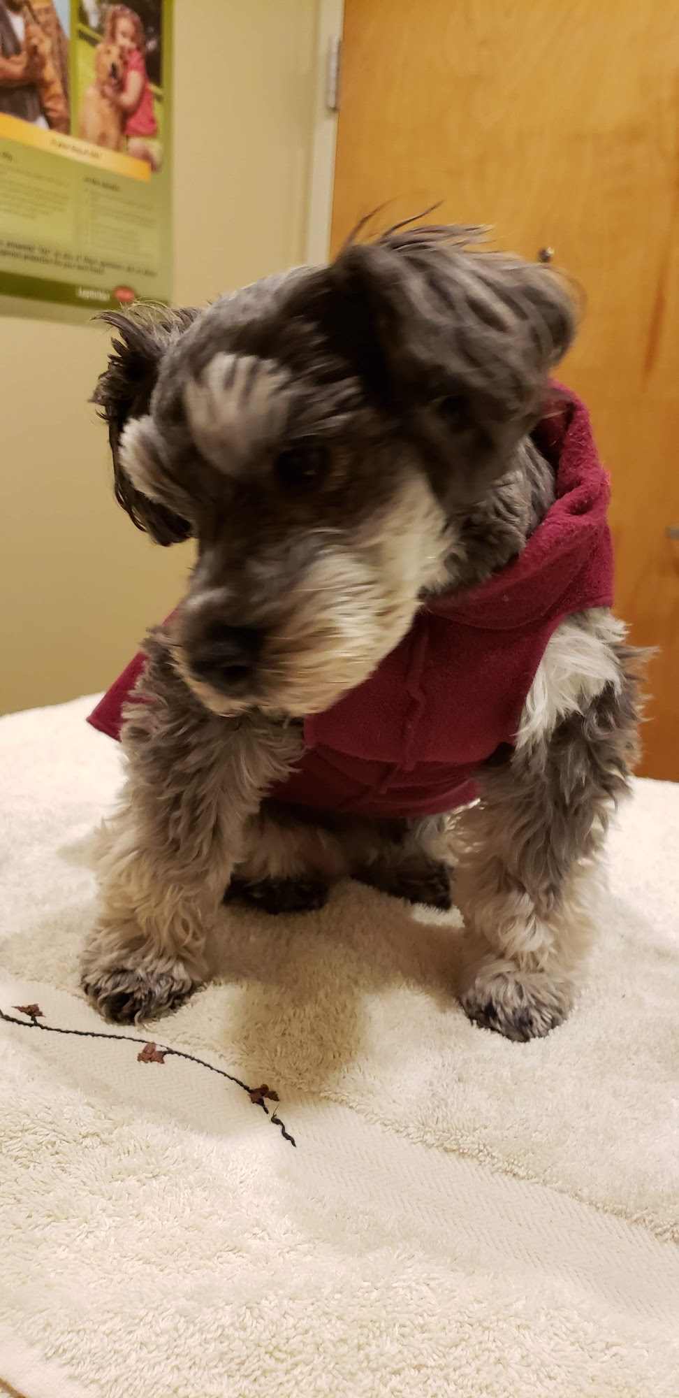 River City Animal Hospital: Luce Brian DVM, Clovis Frank DVM Post Falls