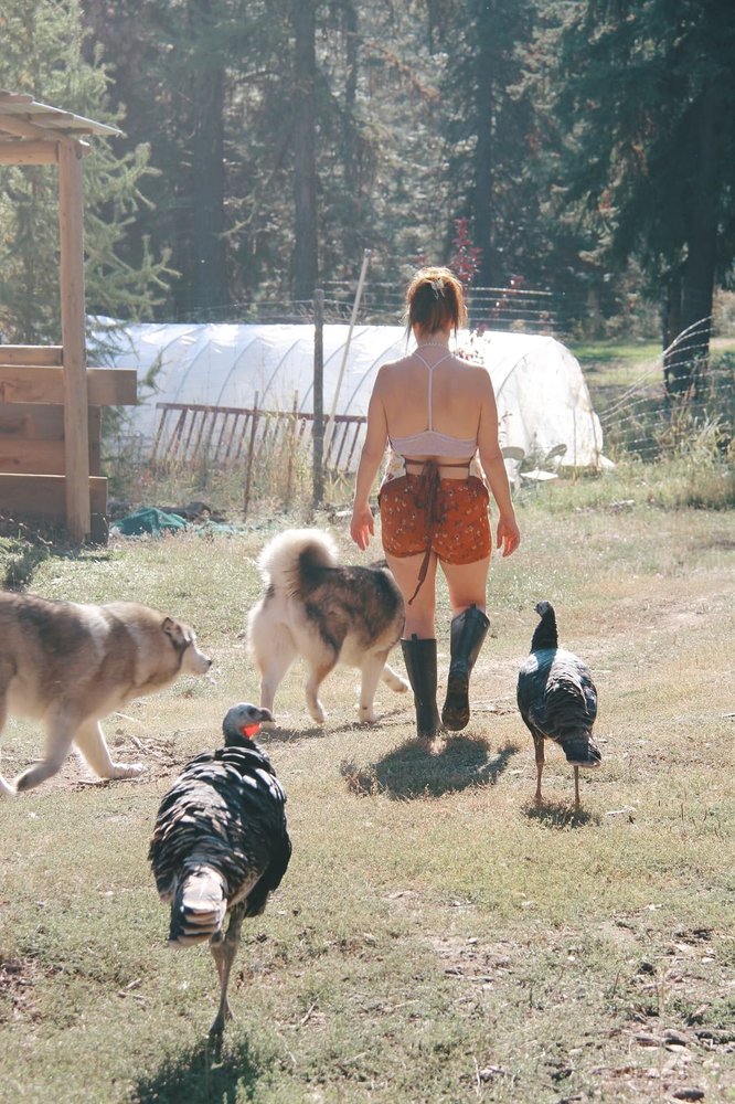 North Palouse Veterinary Clinic: Carnahan Shari DVM Potlatch