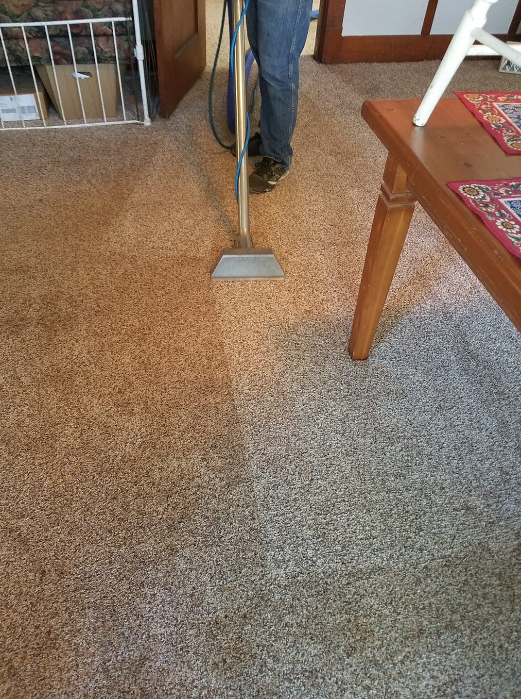 Jef's Quality Carpet Cleaners