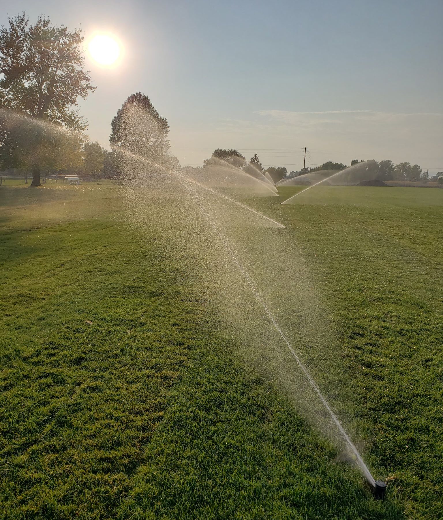 Artesian Sprinklers Inc