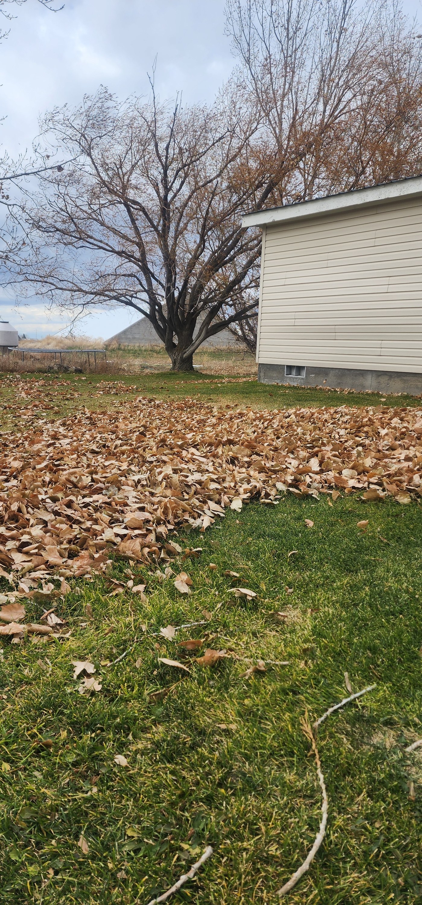 Artesian Sprinklers Inc