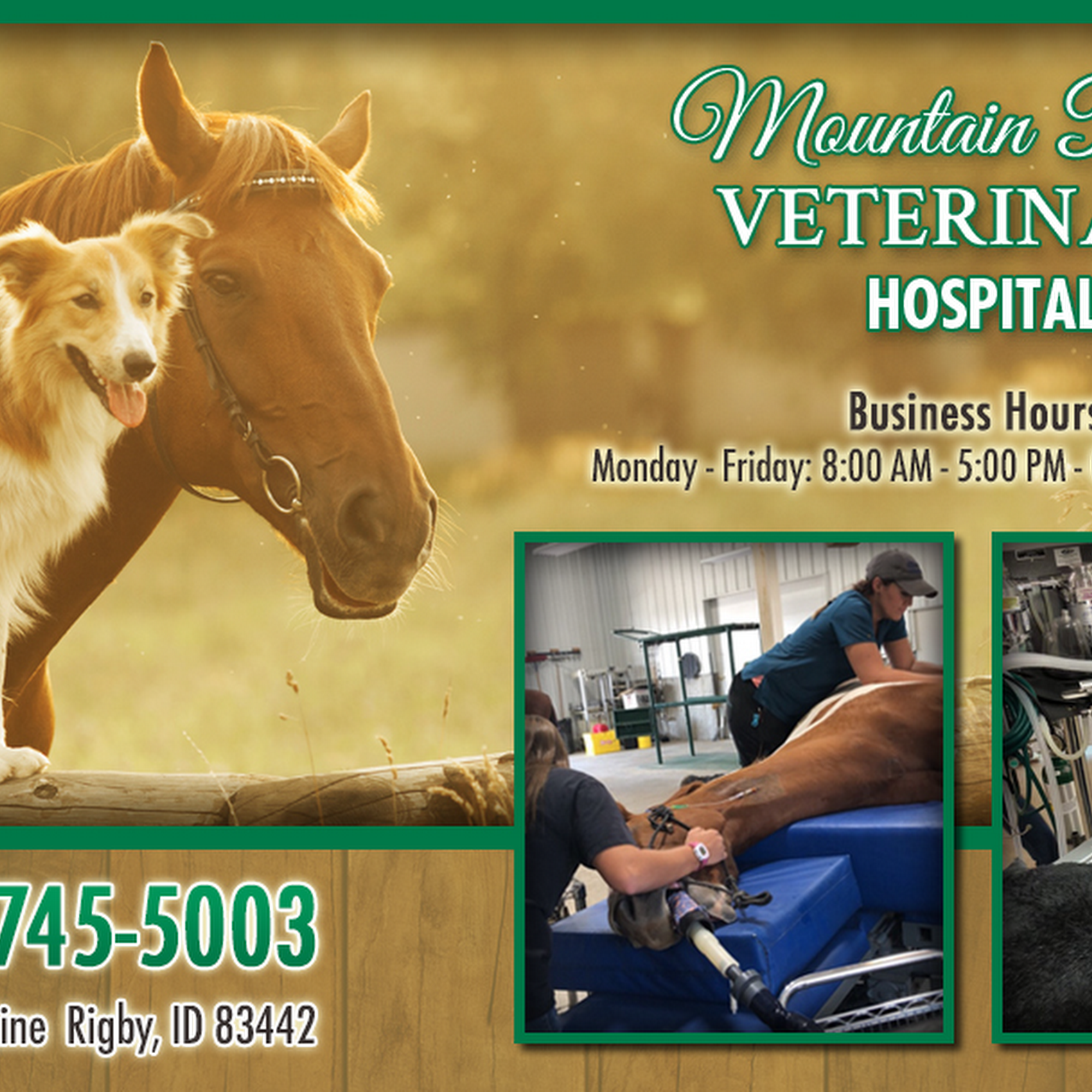 Mountain River Veterinary Hospital Rigby