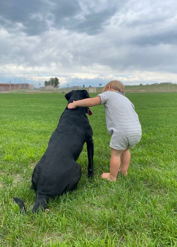 Labs of Cottonhollow Rigby