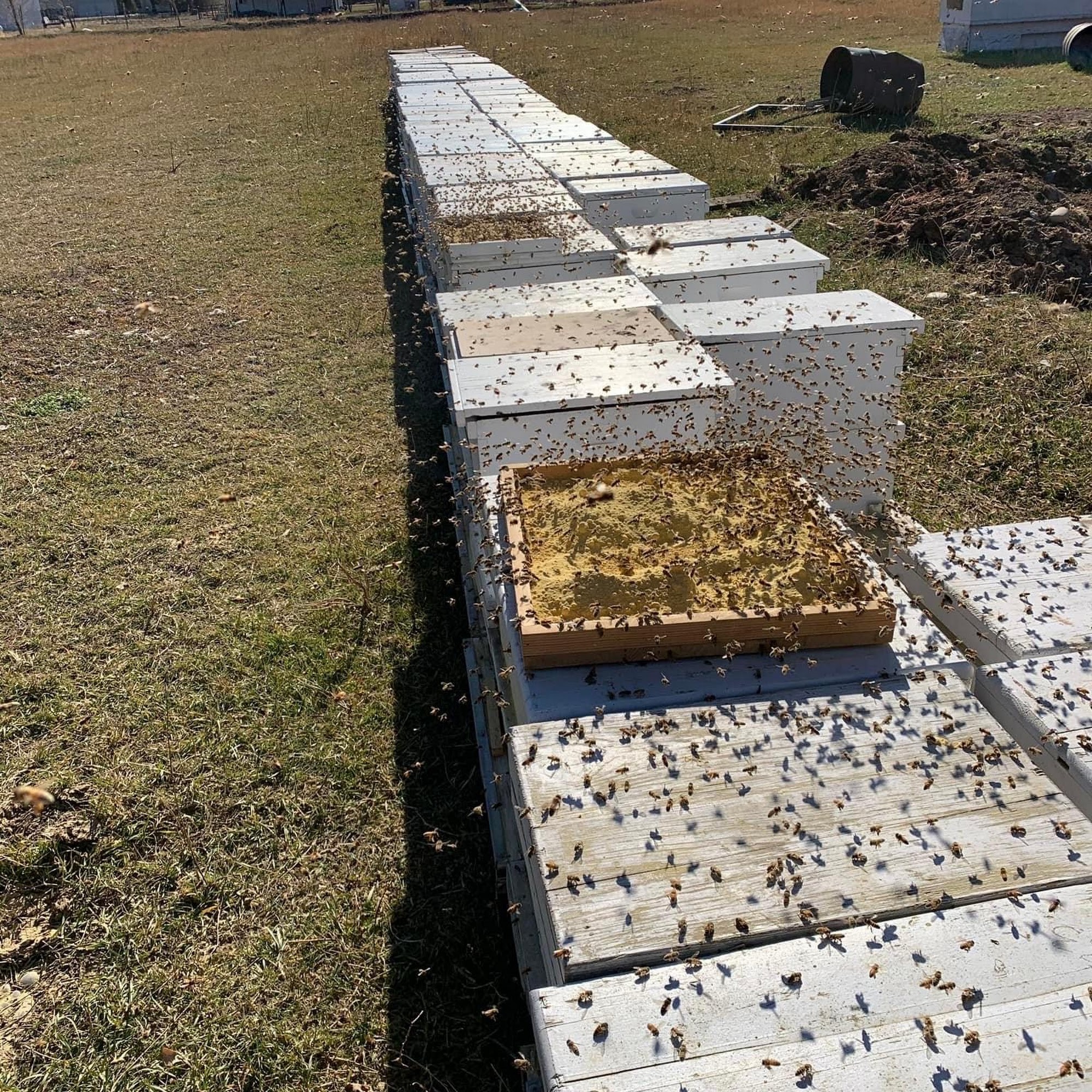 Hooper Honey Farm Rigby