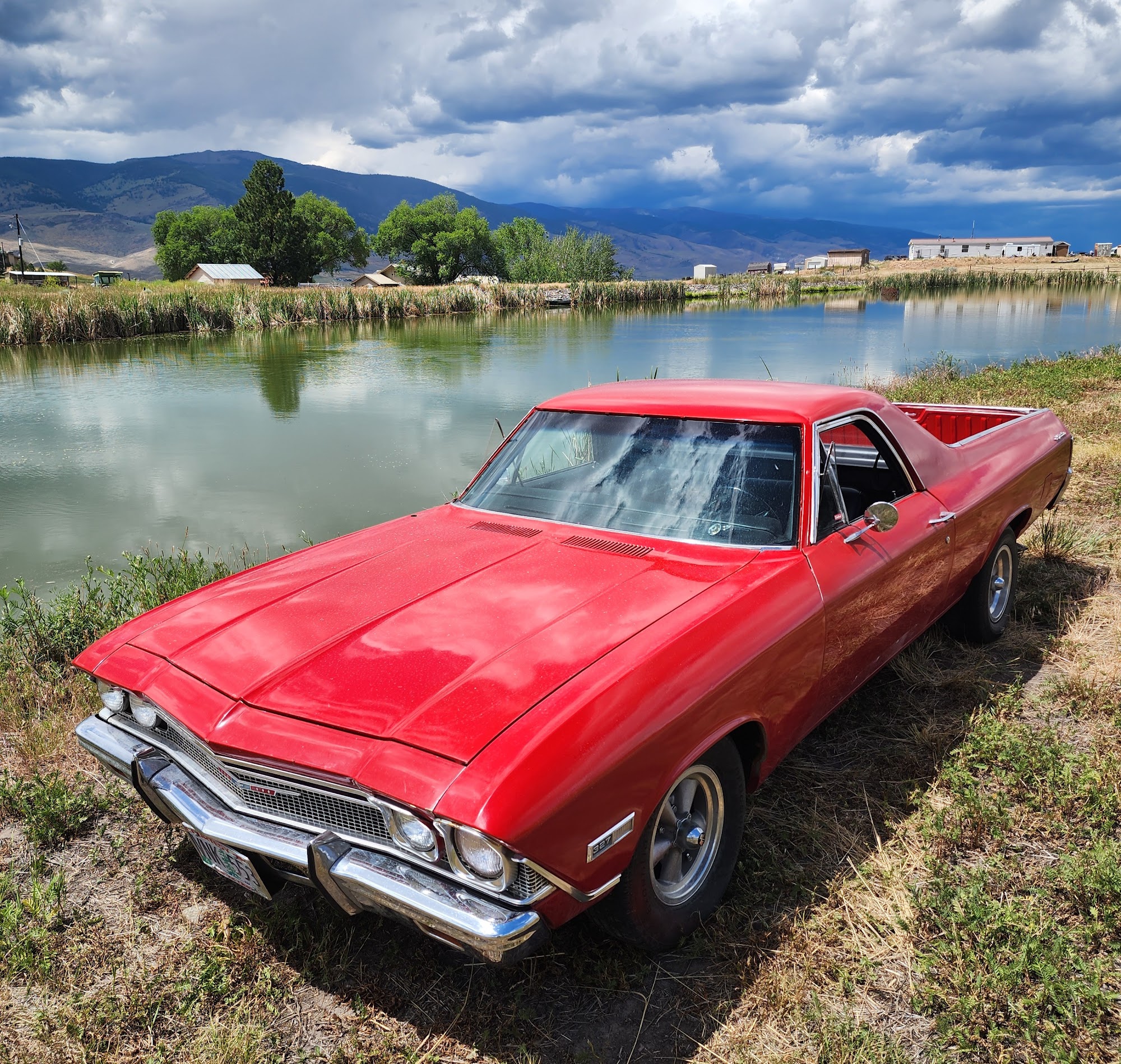 Dick & Donny's Auto & Radiator Salmon