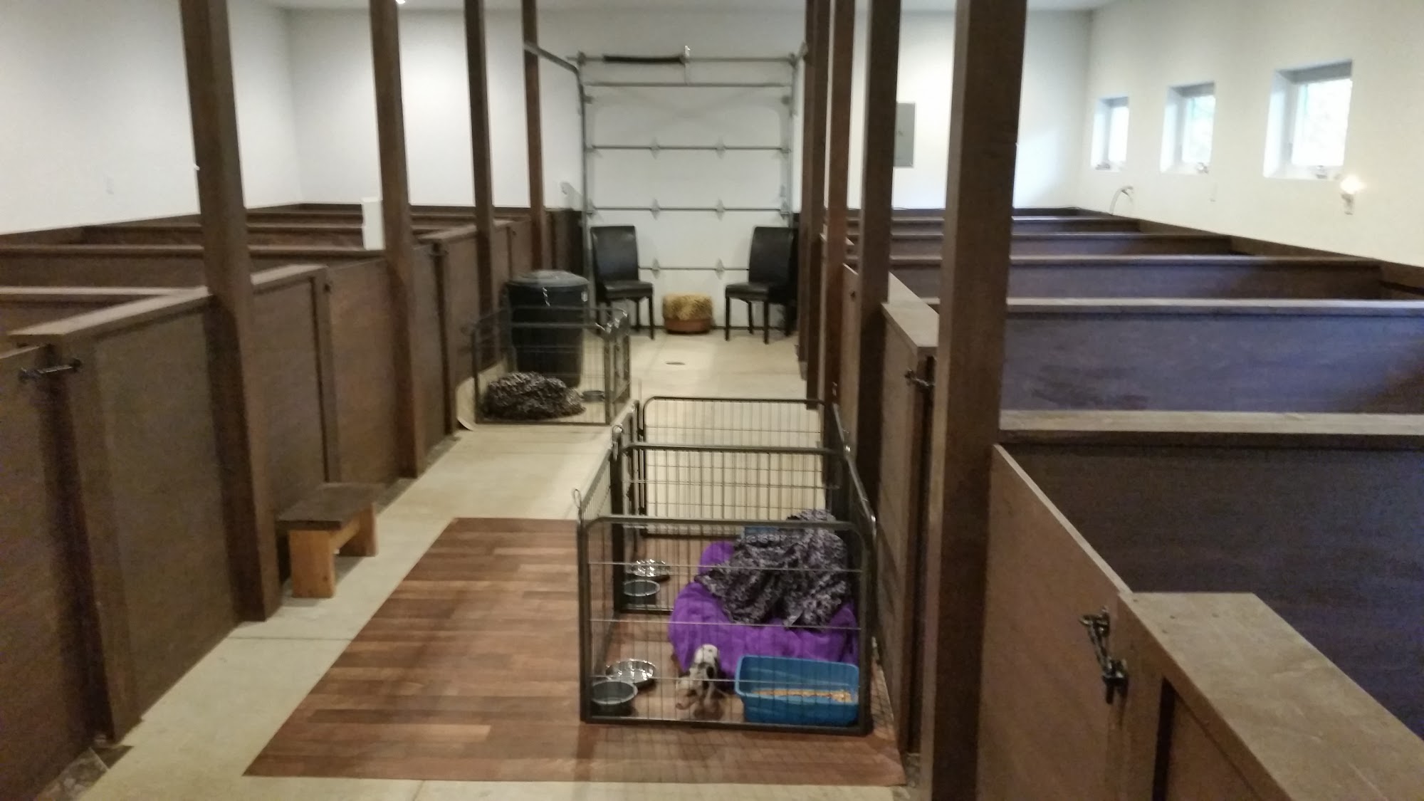 Mini Pocket Pigs LLC Sandpoint