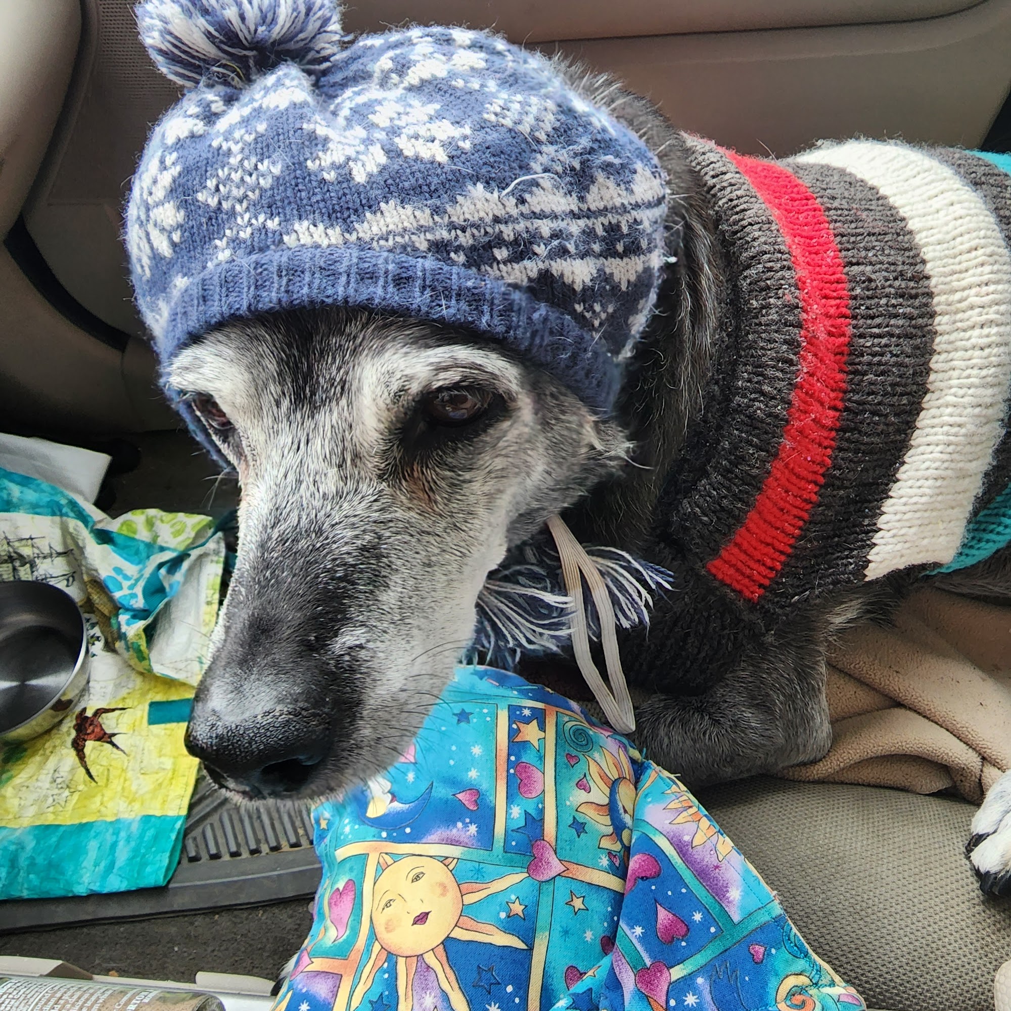 Cedar Day Spa 406 Cedar St Suite 102, Sandpoint Idaho 83864