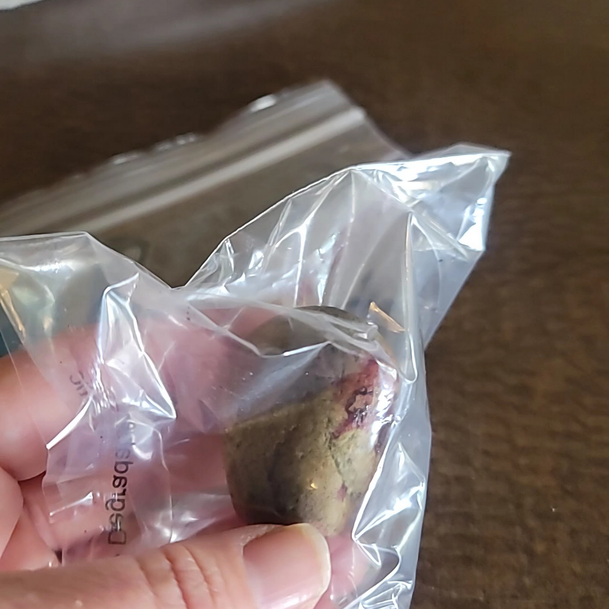 Star Veterinary Clinic Star