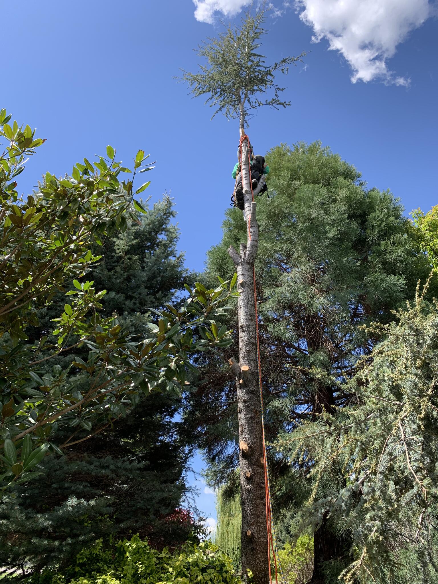 Photo credit: nextdoor