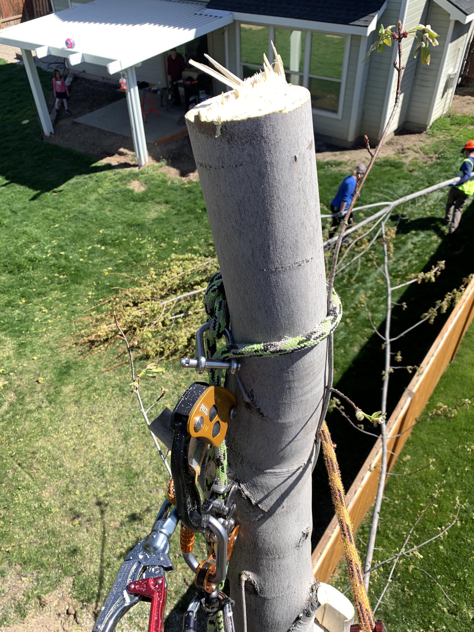 Photo credit: nextdoor