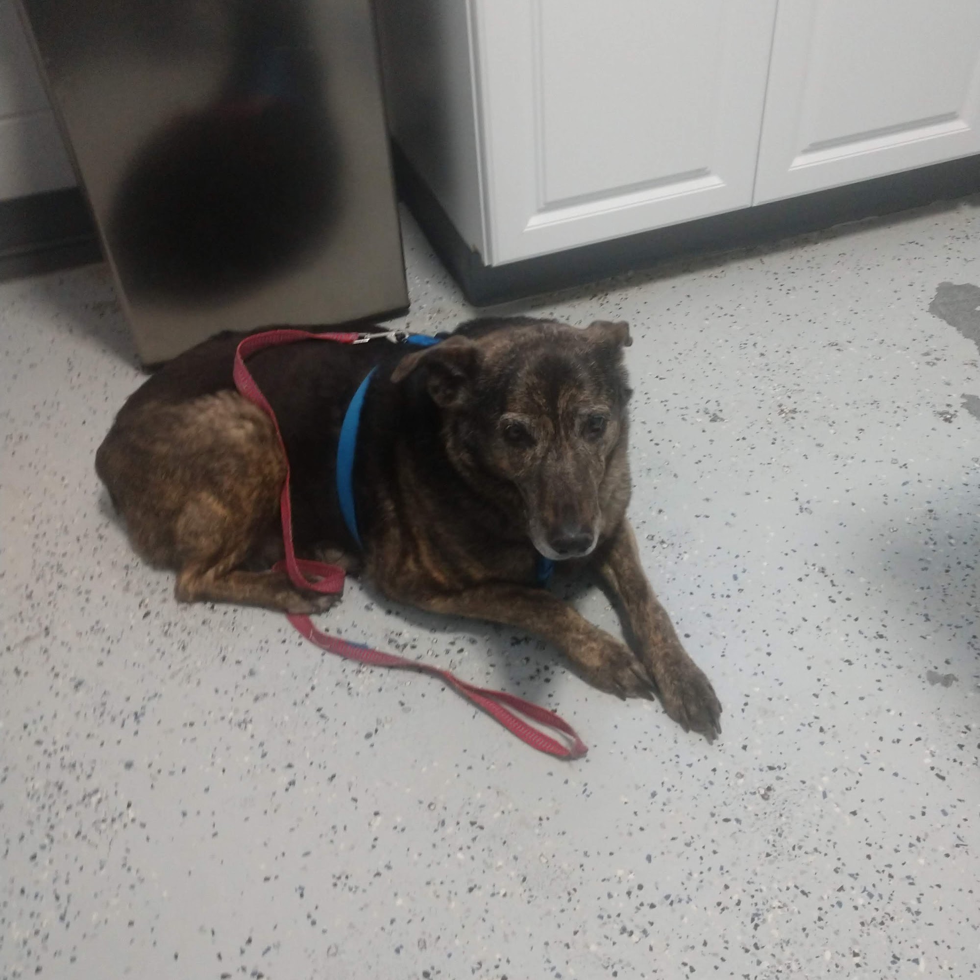 Valley View Veterinary Clinic Twin Falls