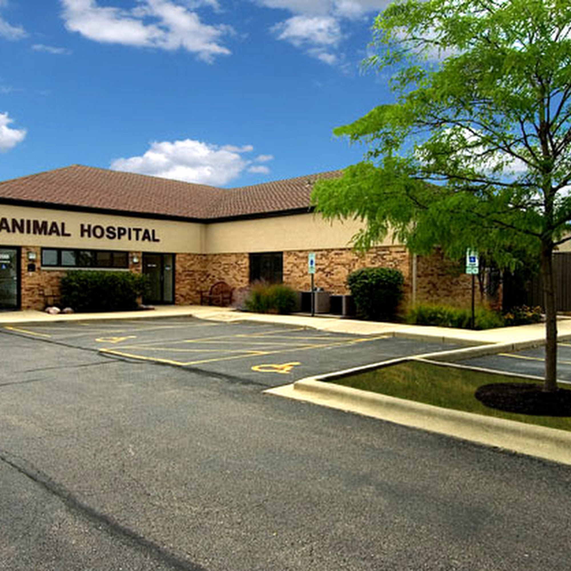 Dundee Animal Hospital of Algonquin Algonquin