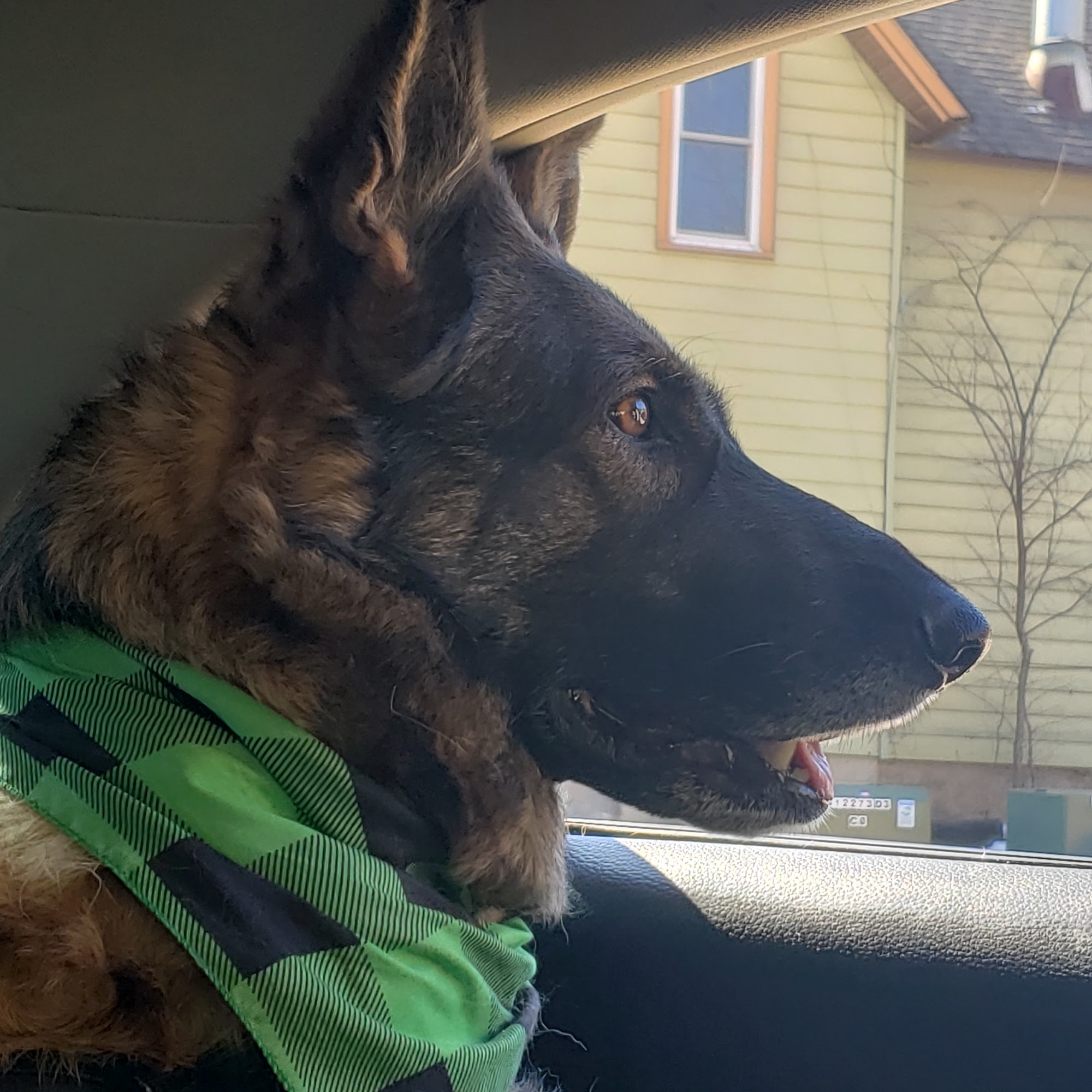 Family Pet Care Clinic Algonquin