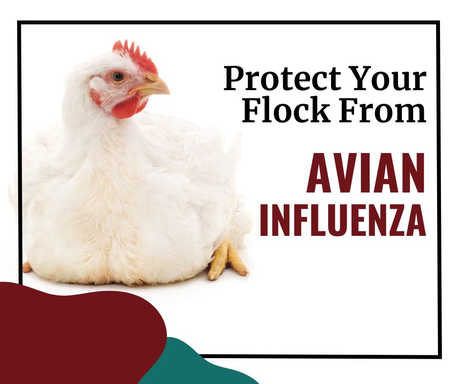 Veterinary & Poultry Supply