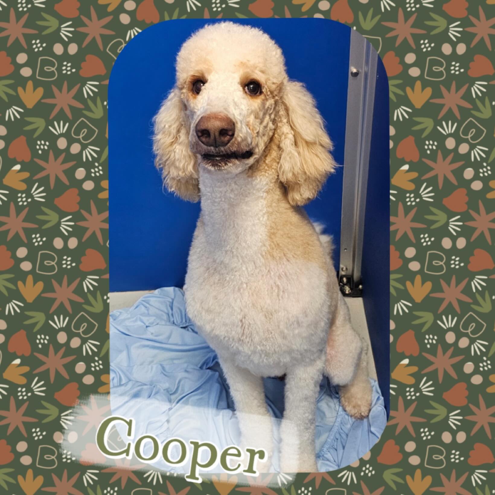 Happy Tails By Sampson Anna