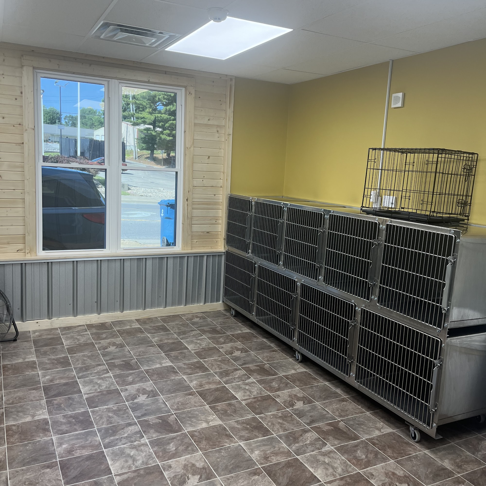 Happy Tails By Sampson Anna