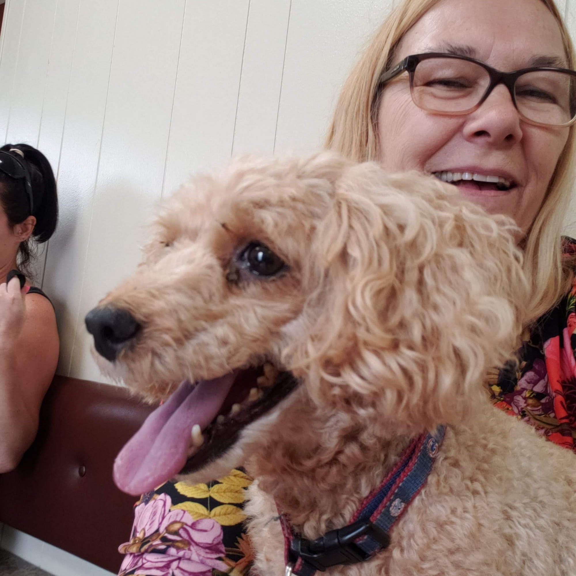 Lakes Animal Clinic Antioch