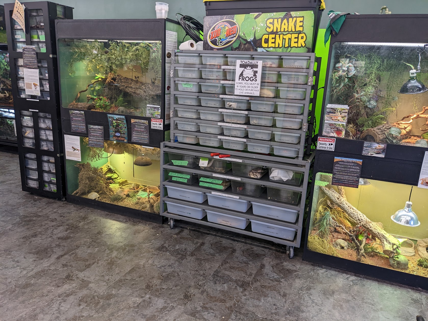 Toadally Frogs LLC Antioch