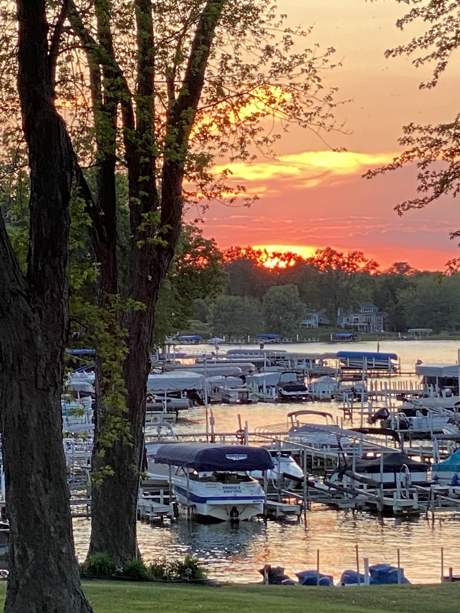 Lupa's Marina Antioch