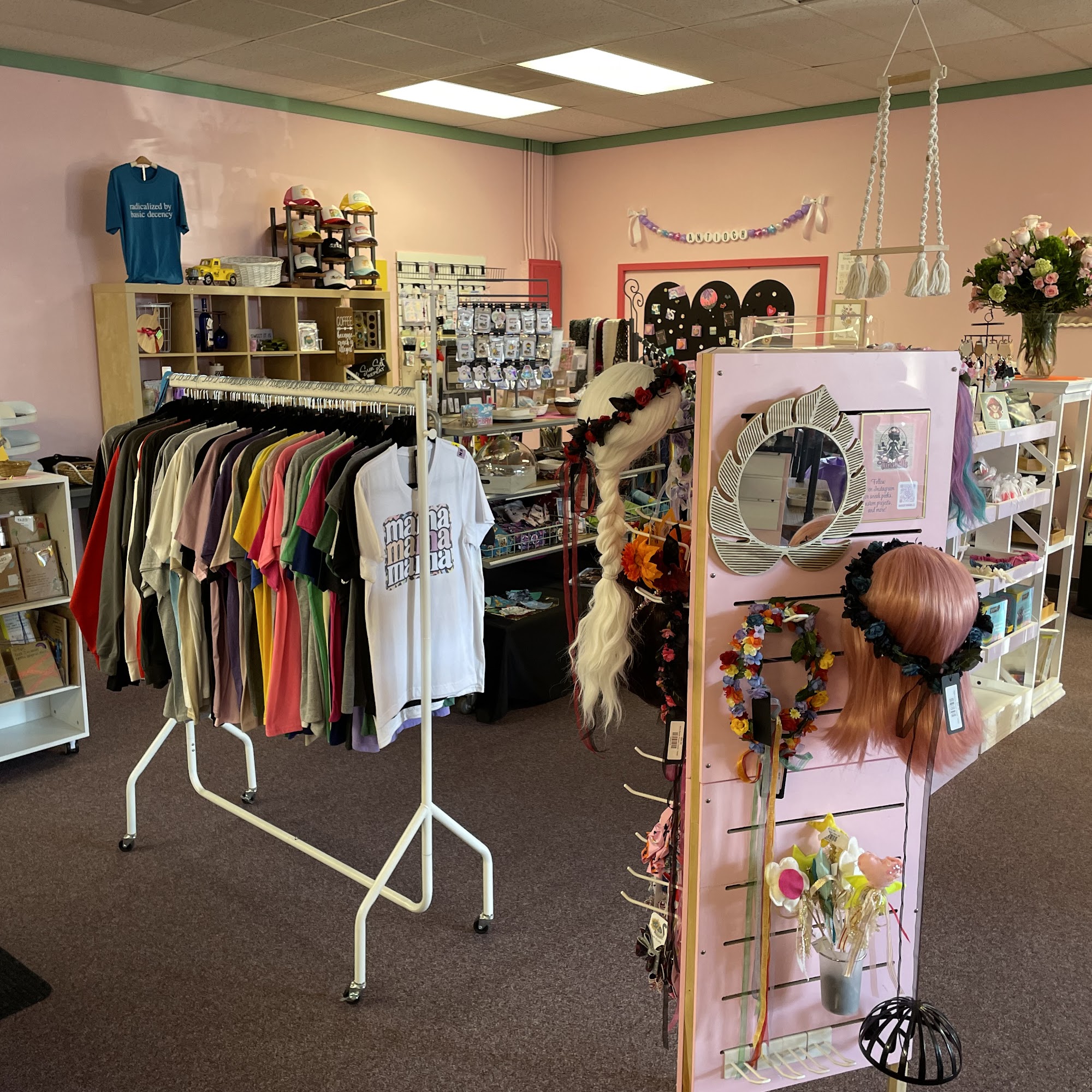 The Stubborn Sunflower