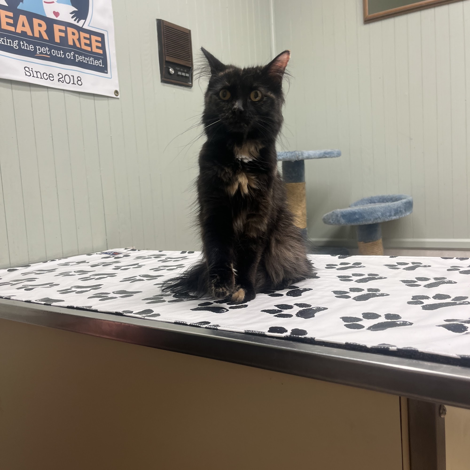 Animal Health Care Center-Arcola Arcola