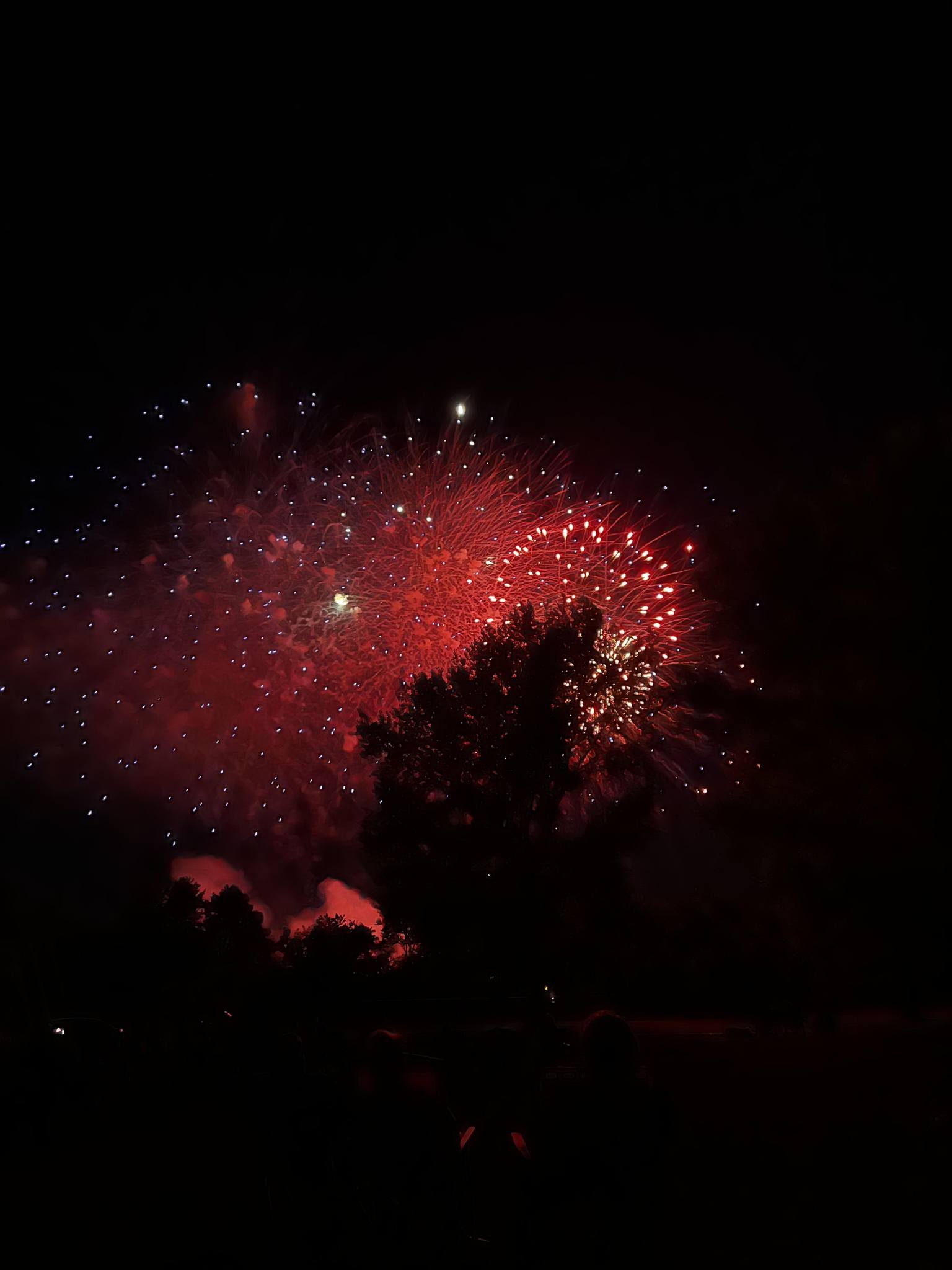 Robert E. Middleton Jr, DC