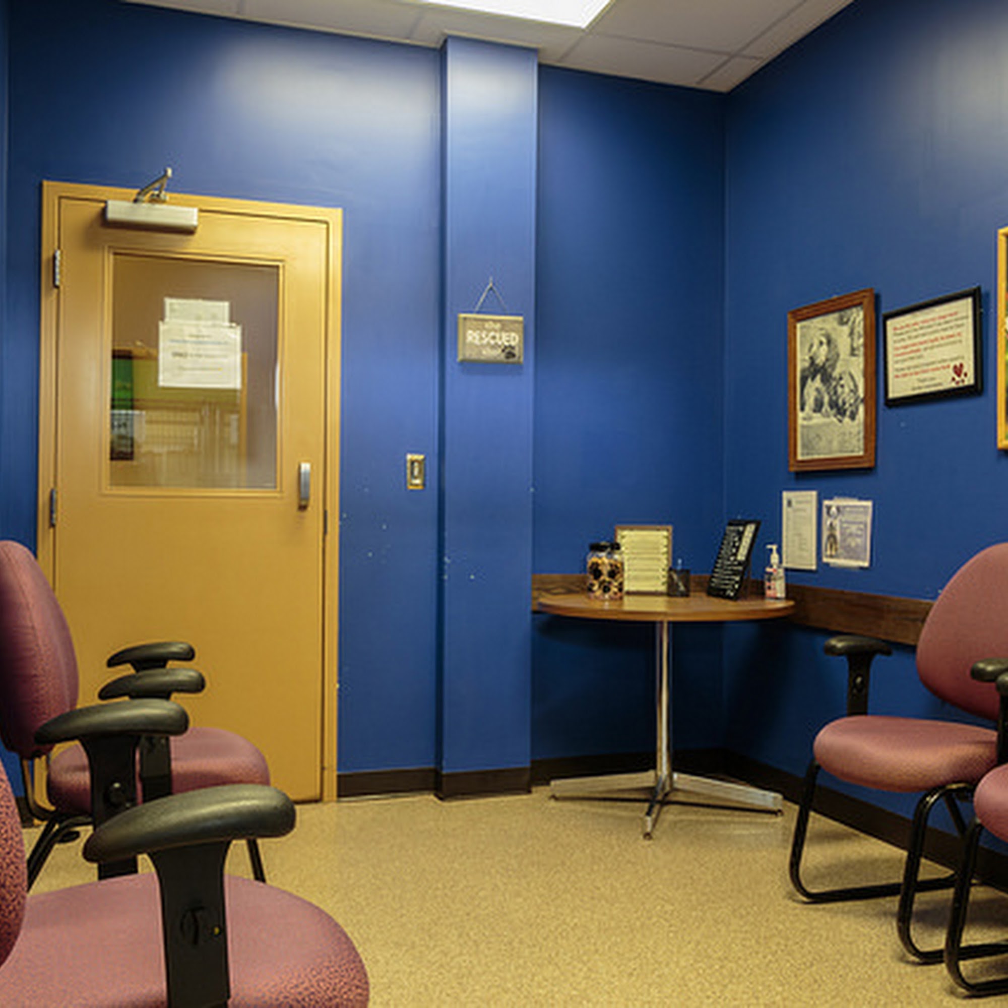 The Buddy Foundation Arlington Heights