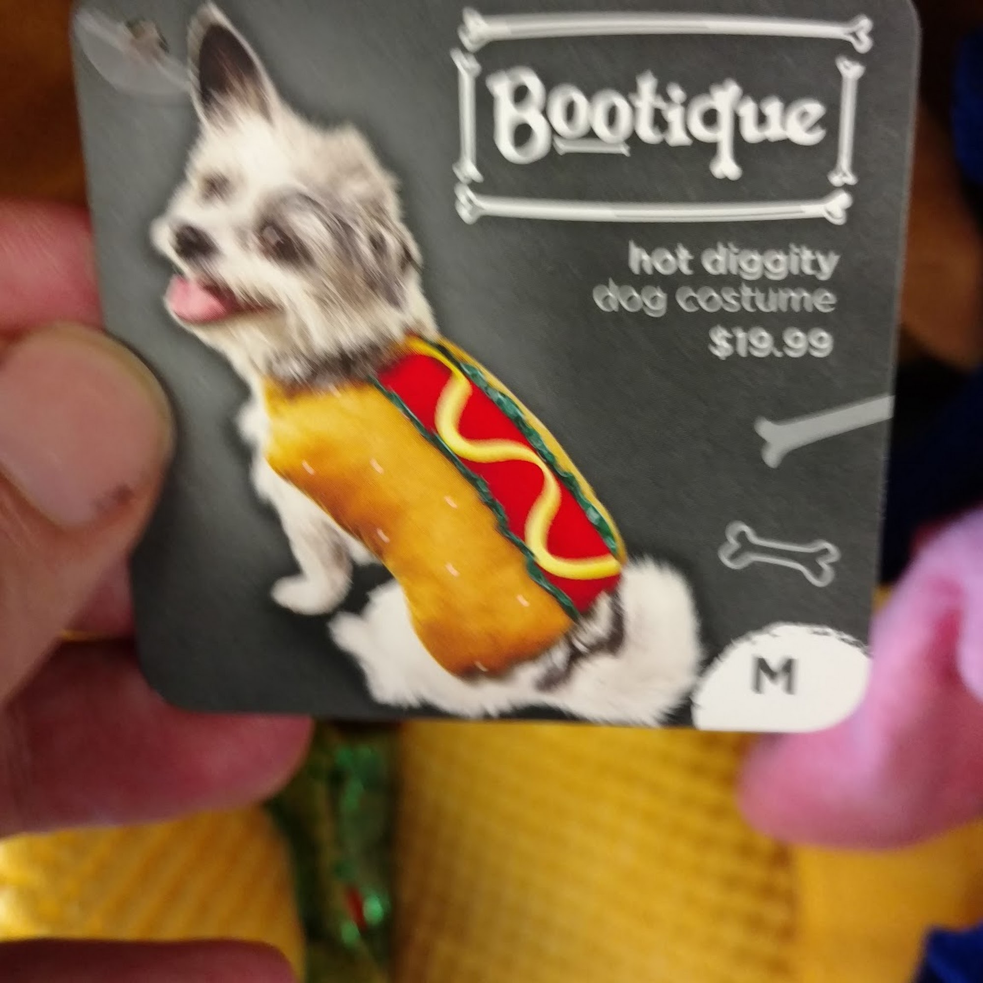 Petco Arlington Heights