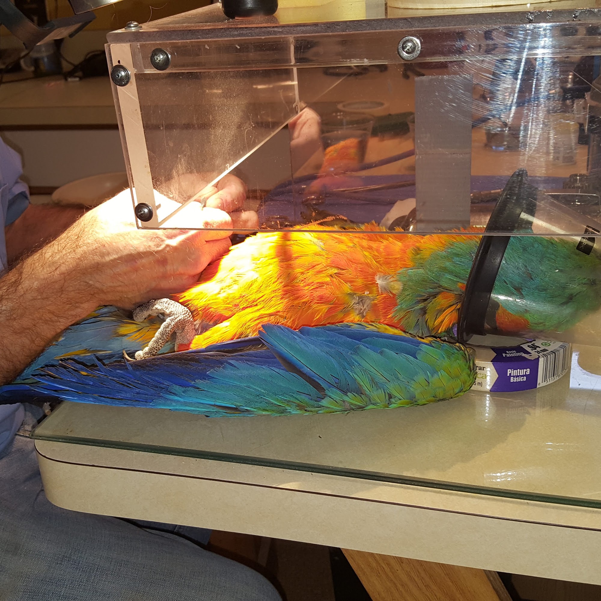 Scott E. McDonald, DVM Arlington Heights