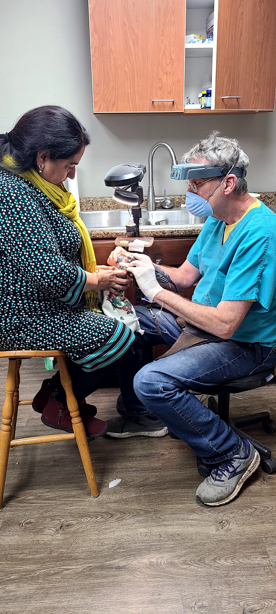 Scott E. McDonald, DVM Arlington Heights