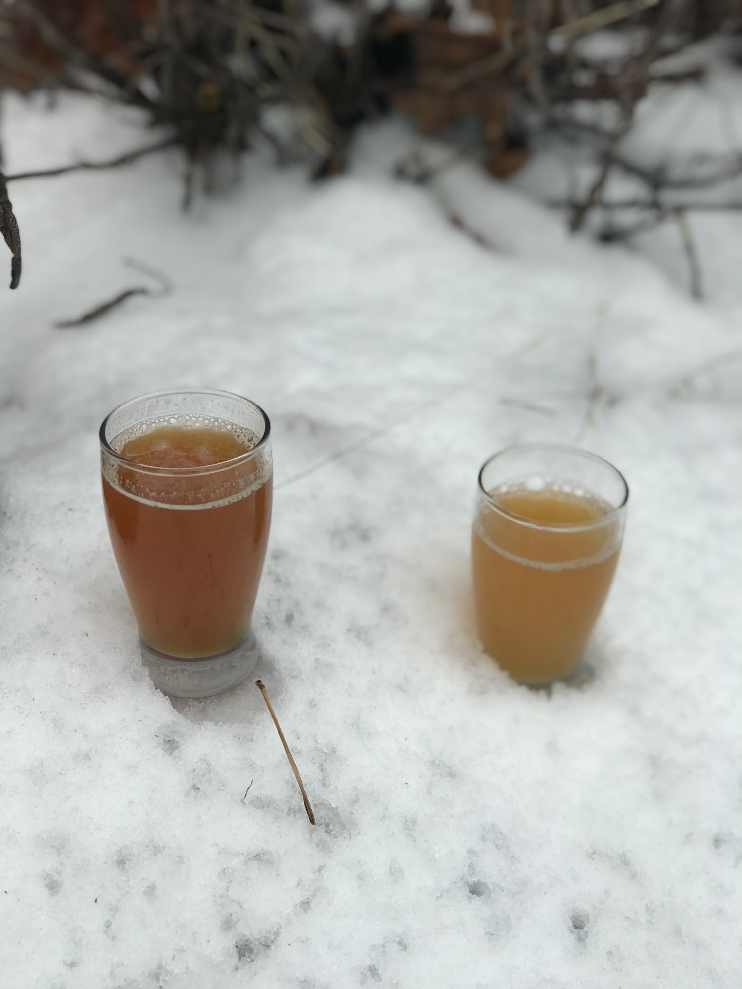 Cypress Grove Brewing Assumption