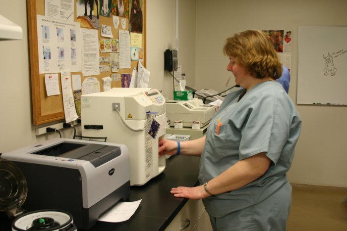 VCA Aurora Animal Hospital Aurora