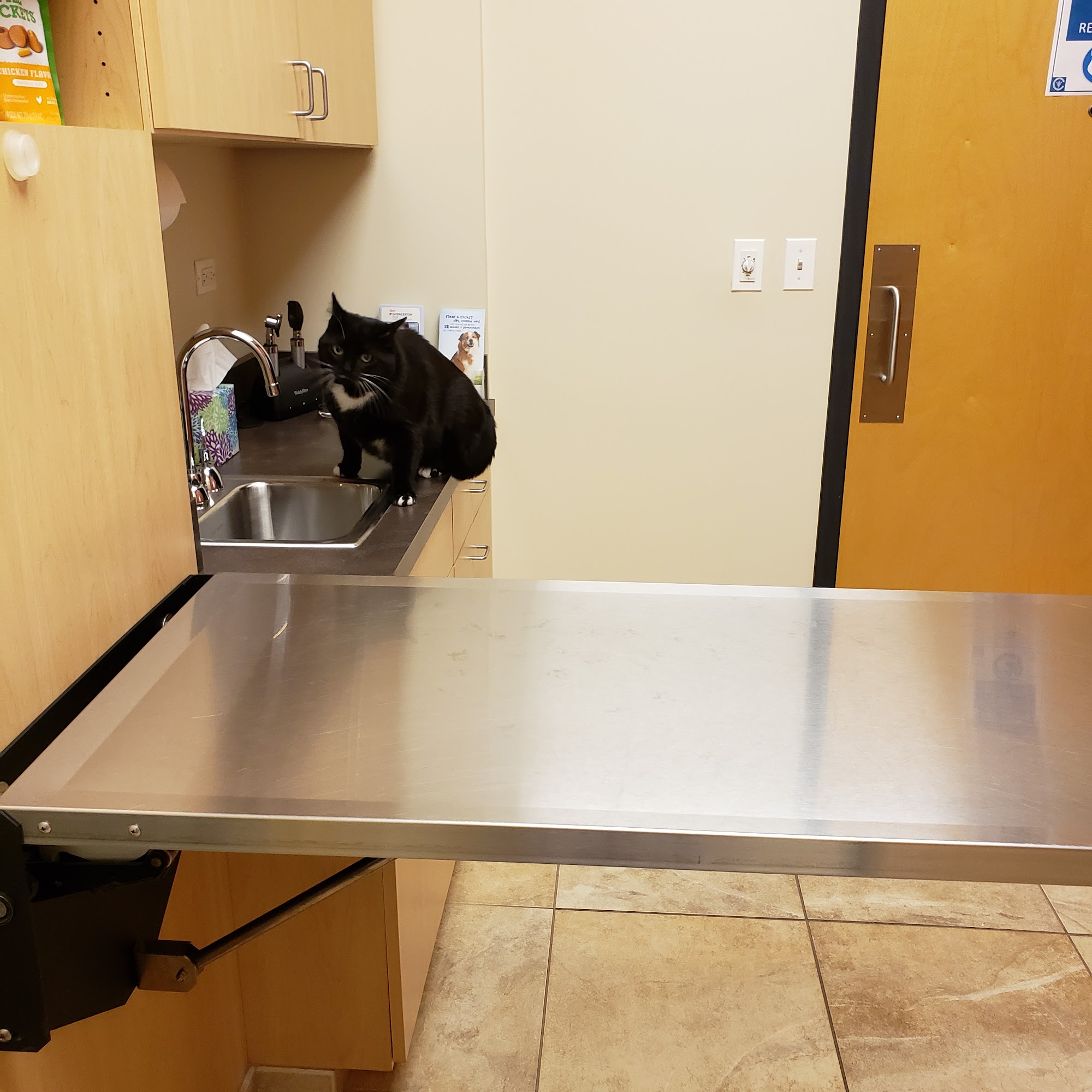 Oakhurst Animal Hospital Aurora