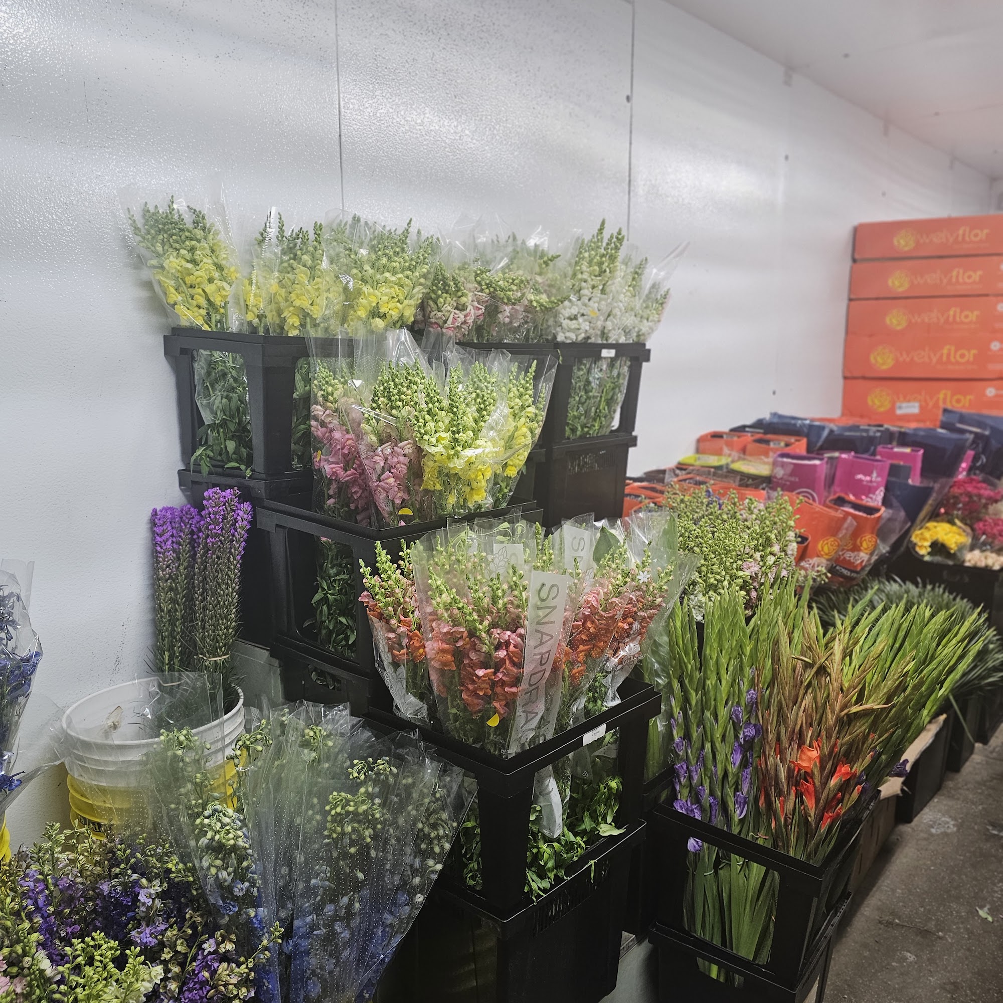 CD Wholesale Flowers West